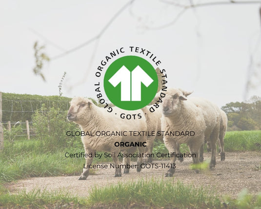 Sheep in a field with a Global Organic Textile Standard logo overlay.