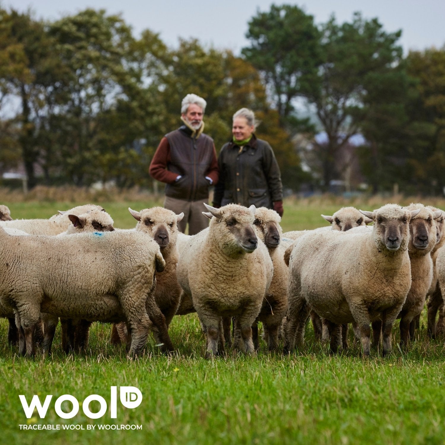 Woolroom Organic Washable Wool Comforter - Light – crafted from natural materials for comfort