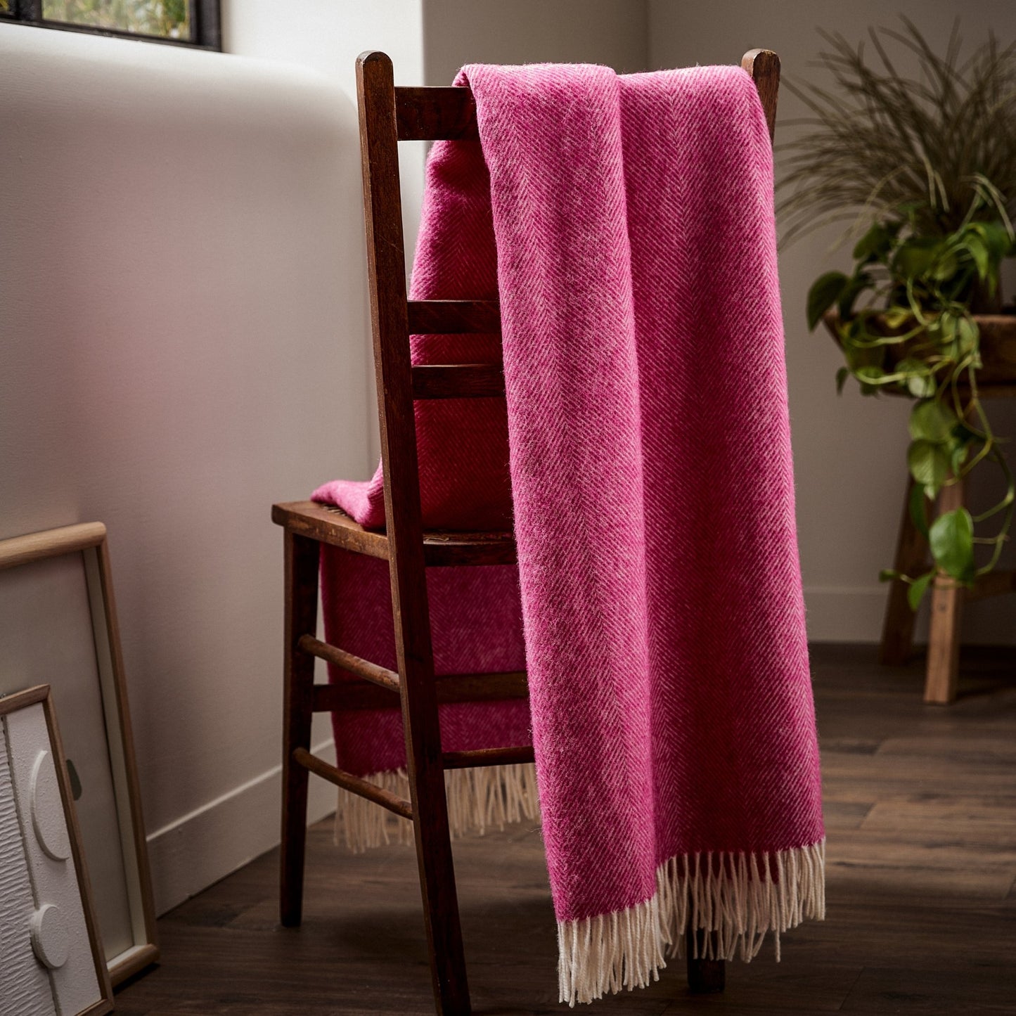 The beautifully soft Herringbone Shetland Wool Throw in color Fuschia pink with white fringe, draped over a bench.