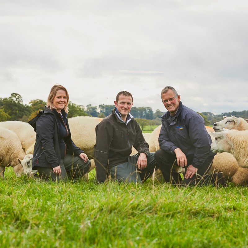 Wool ID: Classic Collection Farmers