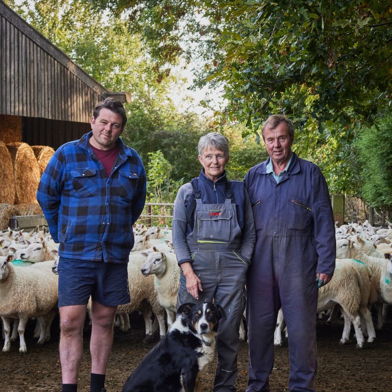 Wool ID: Deluxe Washable Collection Farmers