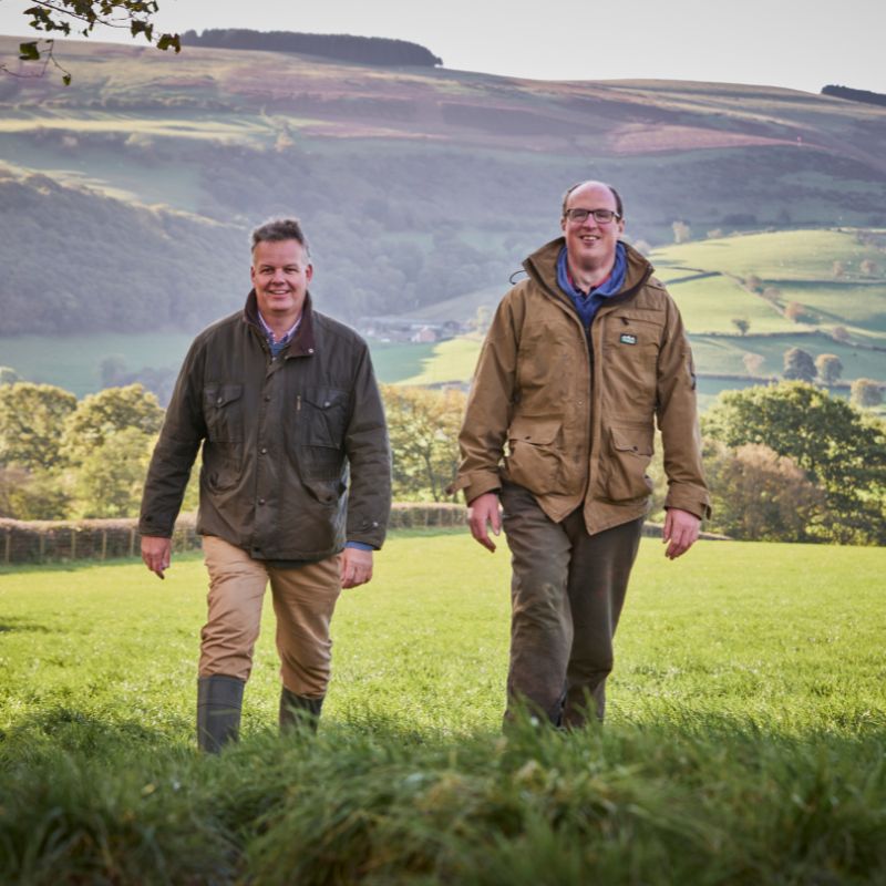 Wool ID: Mattress Collection Farmers