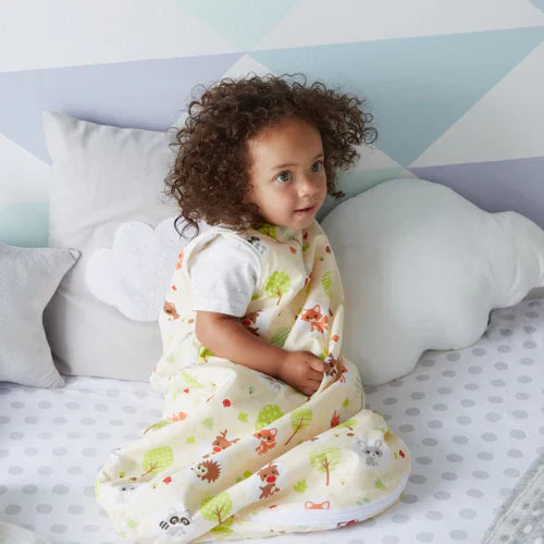 baby in a sleeping bag