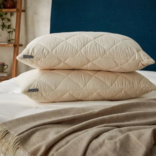 Nontoxic Pillows - What are they and how to choose one?