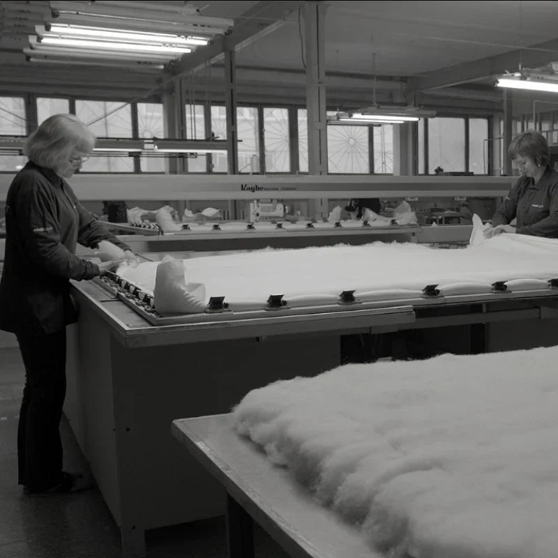 Is wool a renewable resource?