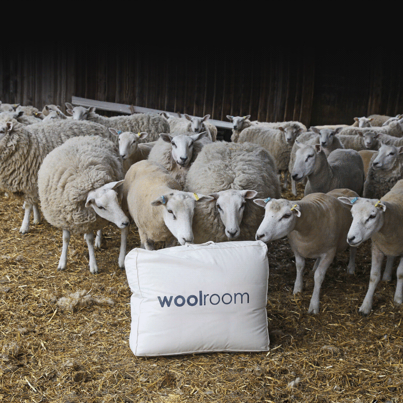 The Benefits of Traceable Wool
