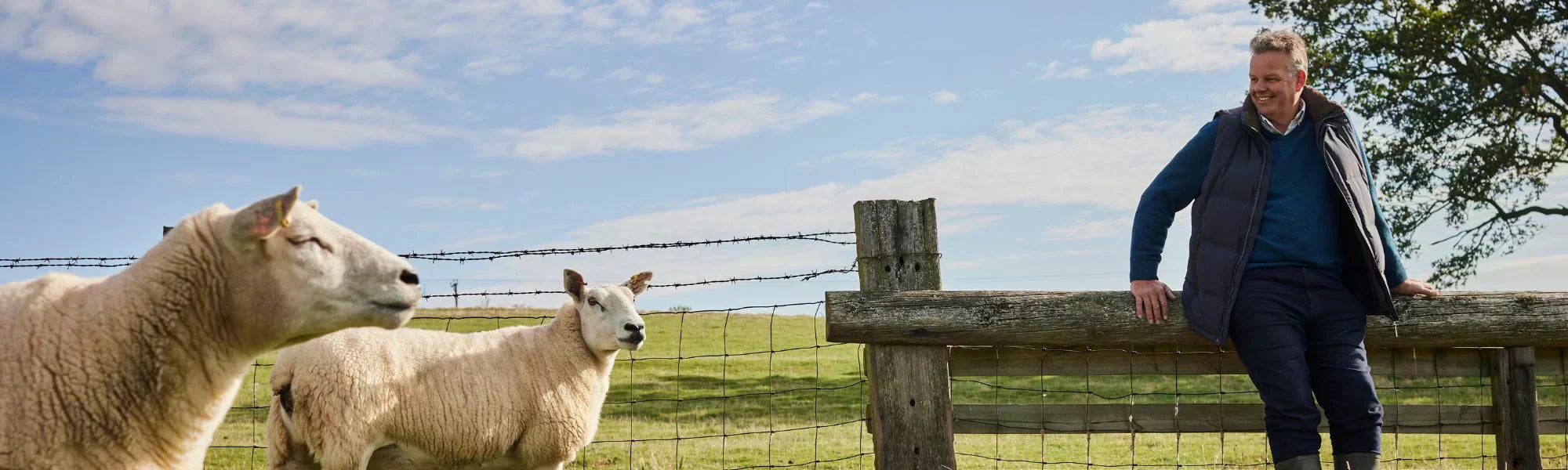 Why Wool Should be in every Health-Conscious home in 2025