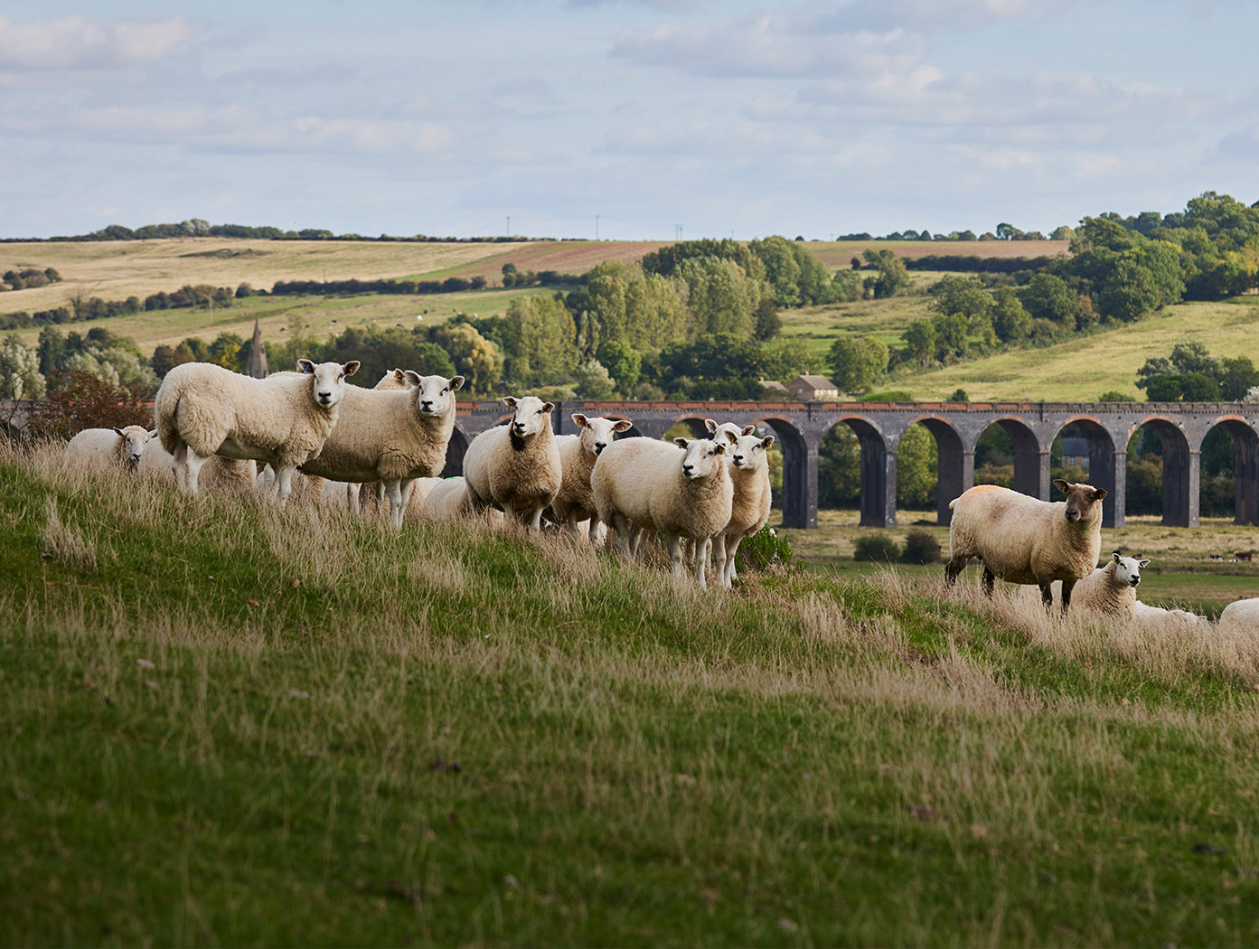 The Science Behind Wool’s Natural Temperature Regulation