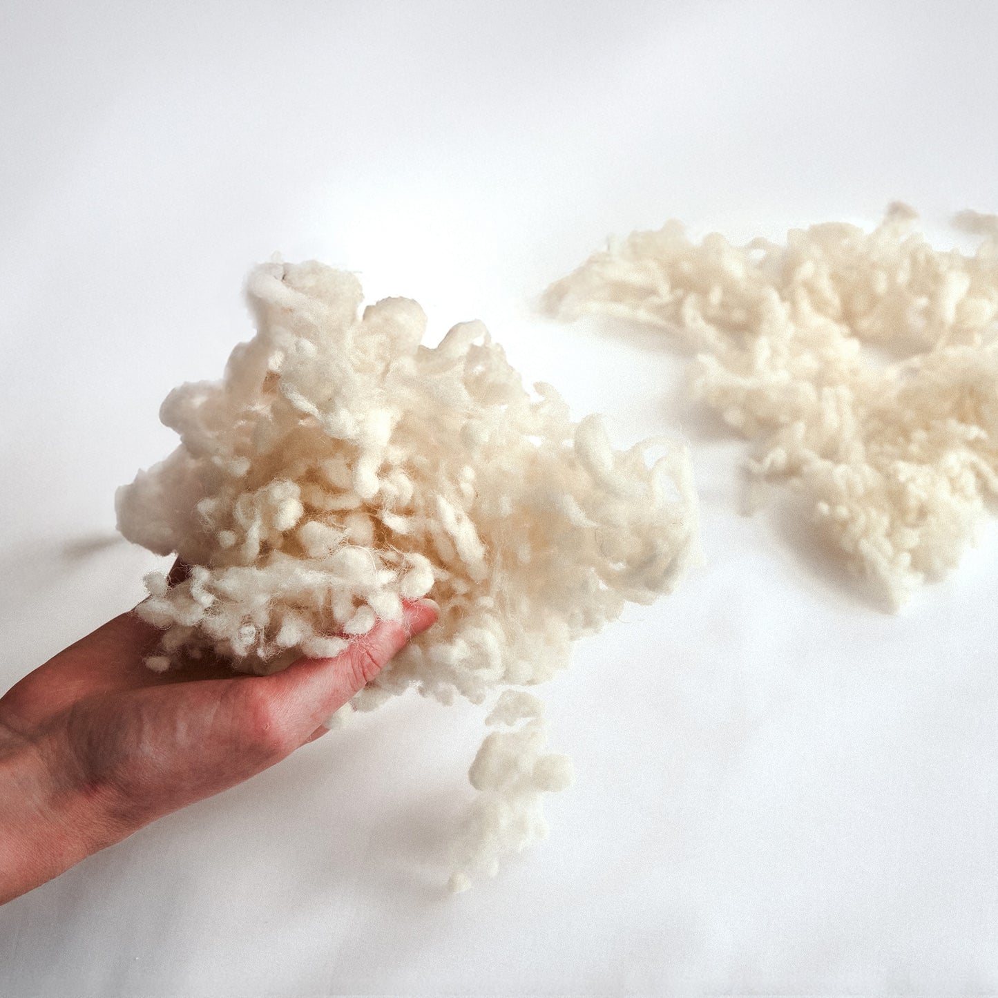 Extra Organic Wool for Washable Pillows