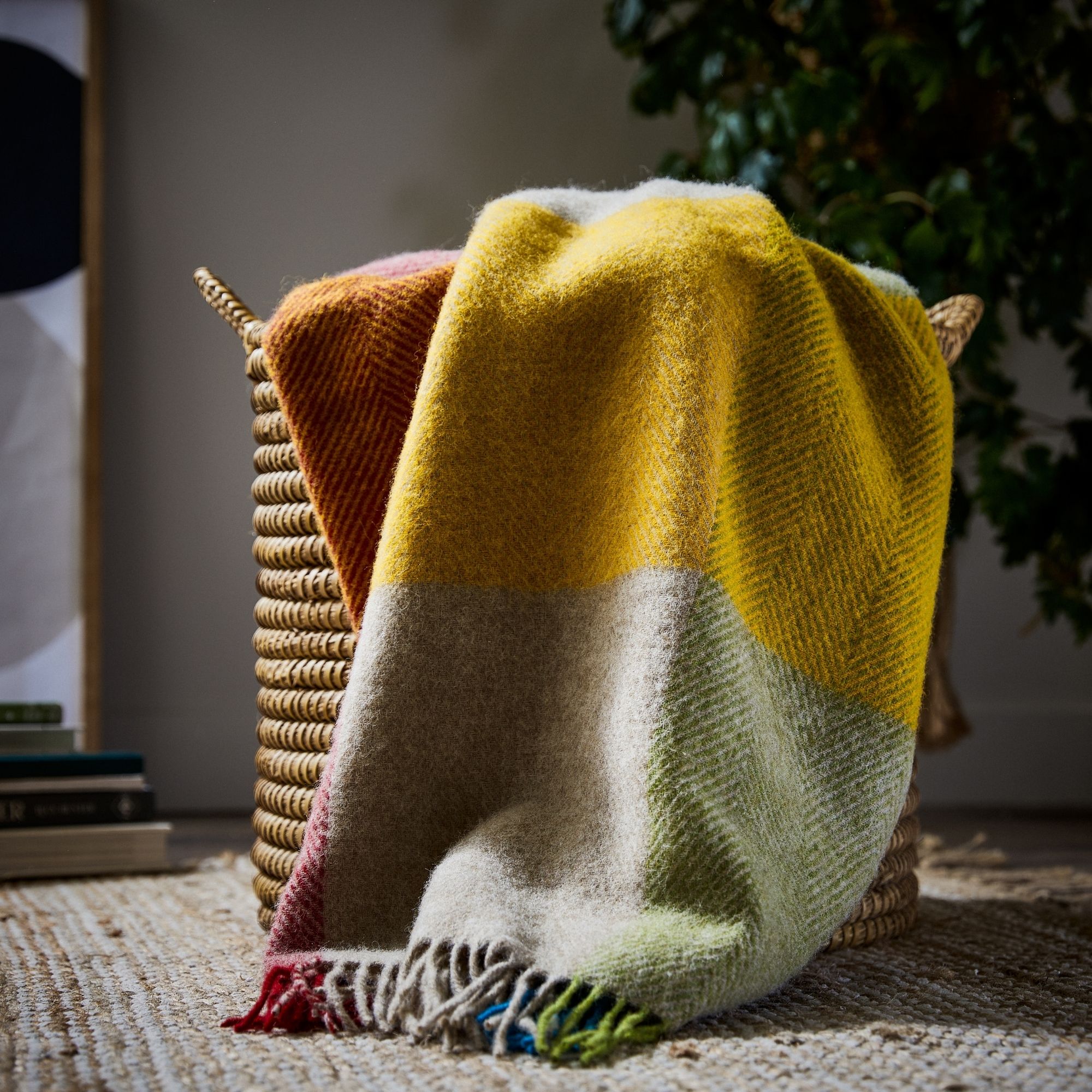 The Harlequin Shetland Wool Throw in Multi is a bright mix of primary and bright colours, draped over a ladder.