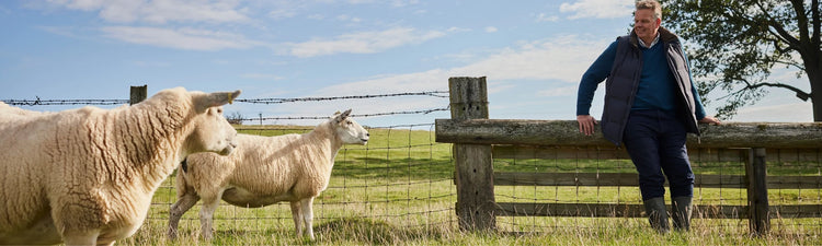 Tracable Wool Traceable Wool: Championing Sustainable British Farms | Woolroom