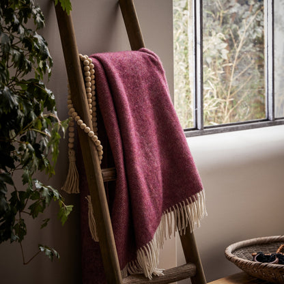 The beautifully soft Herringbone Shetland Wool Throw in color Berry purple with white fringe, draped over a bench. 