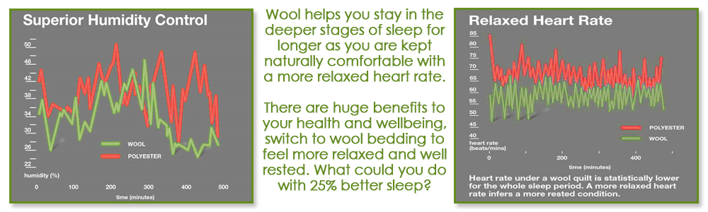 5 Reasons To Buy Wool Bedding Woolroom