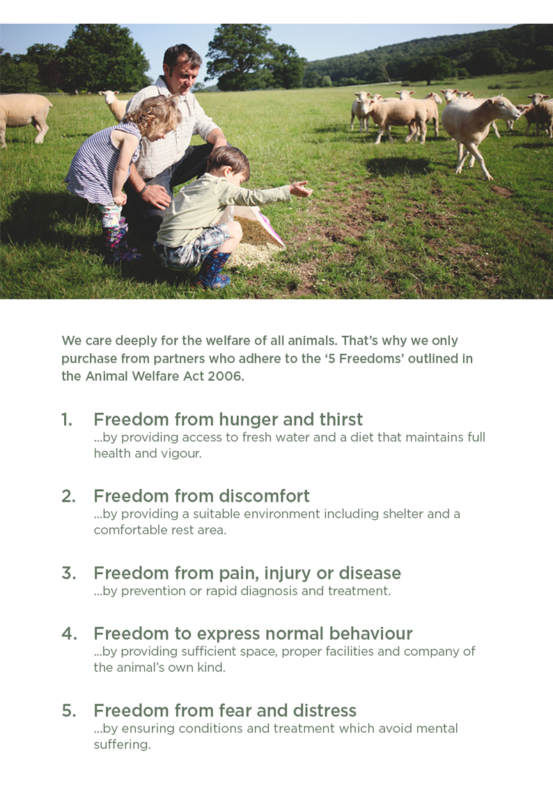 Five Freedoms: The Welfare of All Animals | Woolroom Five Freedoms: The Welfare of All Animals | Woolroom