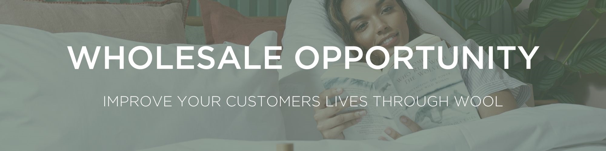 wholesale opportunity banner