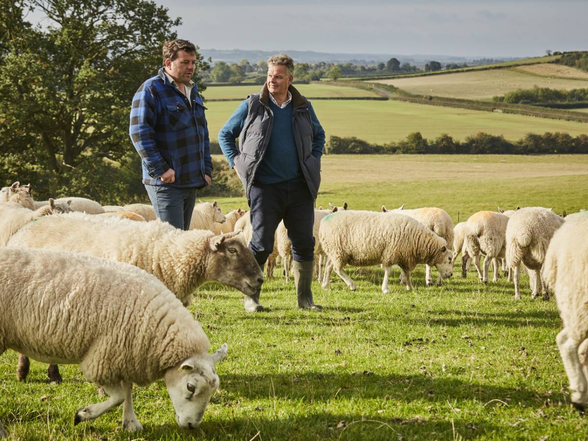 Tom Scott and woolroom managing director with the sheep