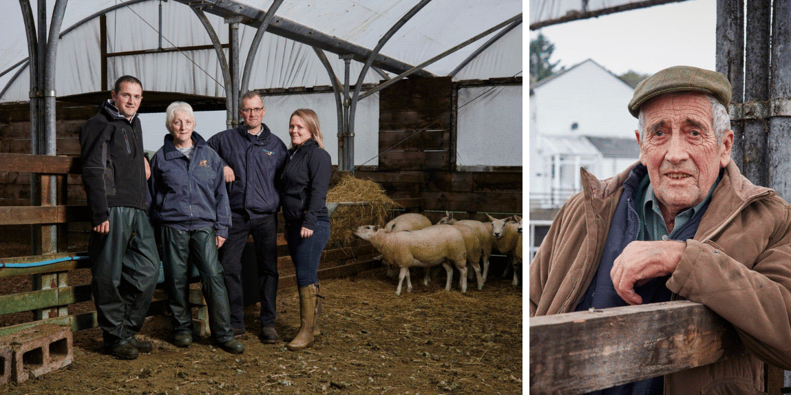 four farmers in a sheep shed