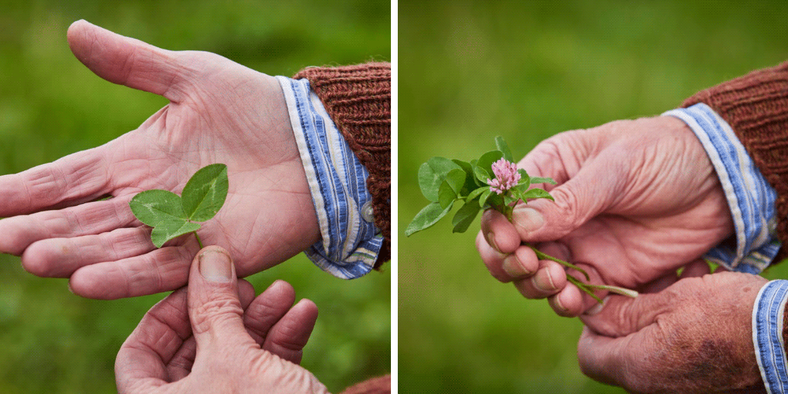 farmer holding a flower