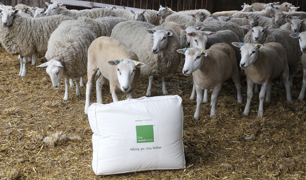 From Sheep to Sleep