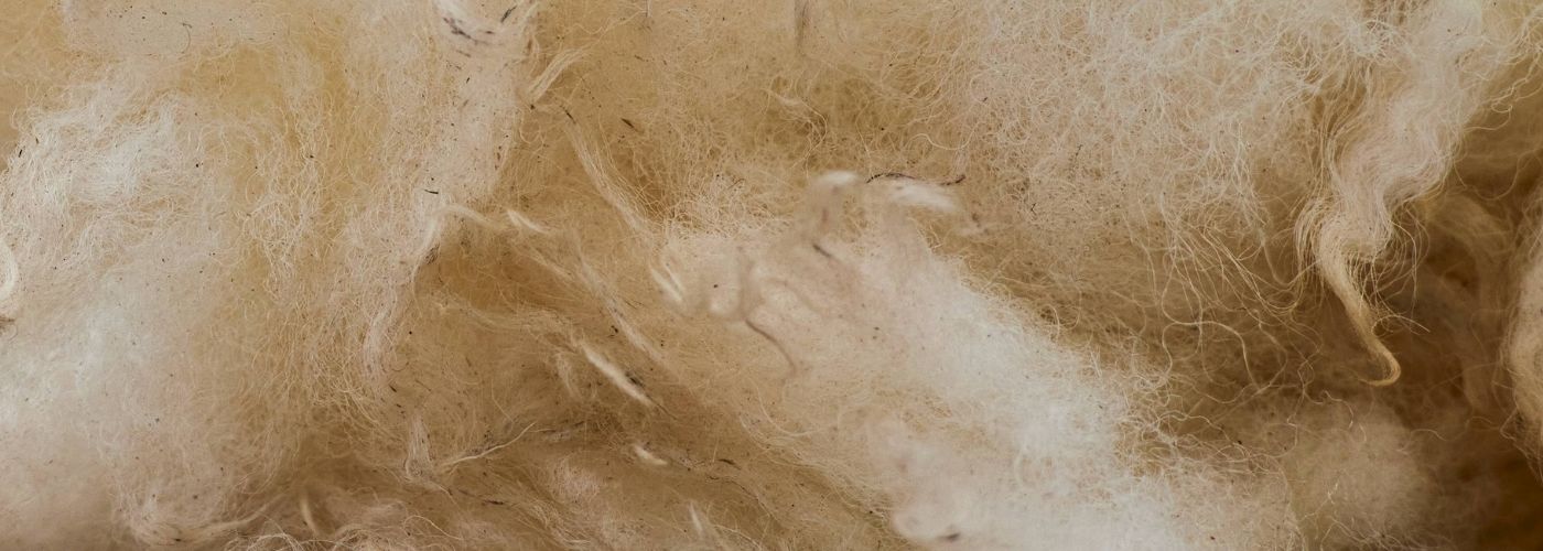what is sheep wool used for