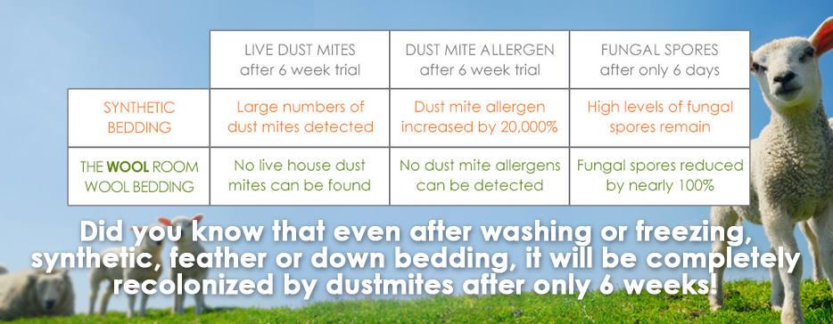 Wool Hypoallergenic Bedding vs. Synthetic Bedding results