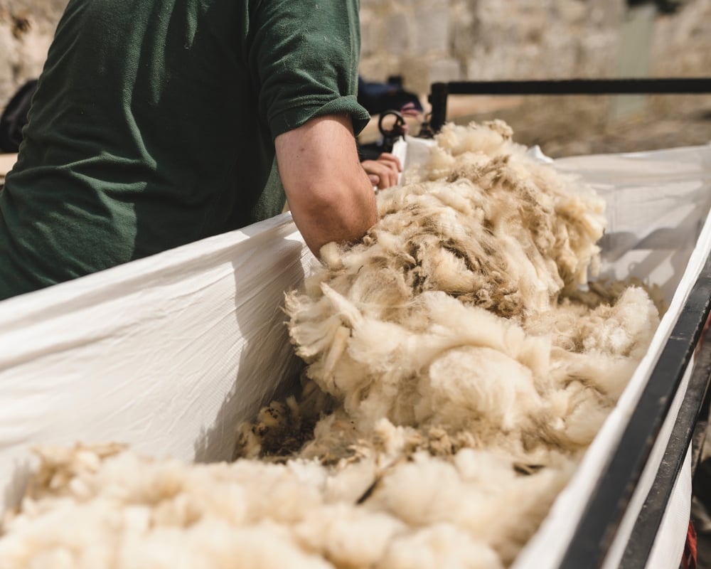 Why Does Some Wool Itch But Not Others? | Woolroom