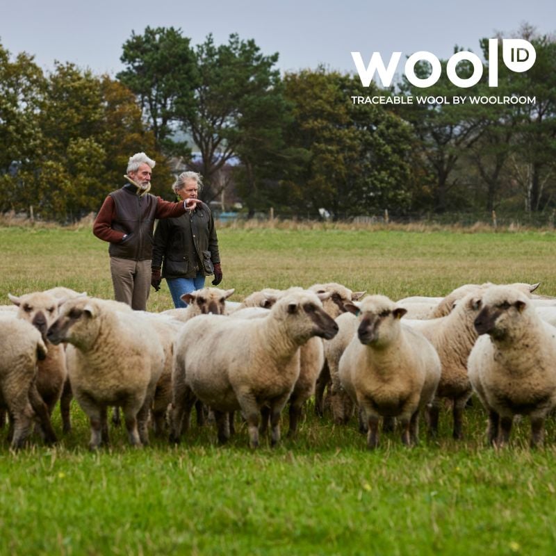 Organic Wool Mattress Topper