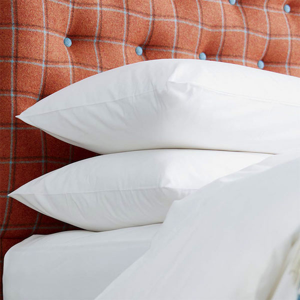 US size Arinta Housewife Pillowcase - 200tc Organic Cotton
