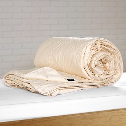 US Size Luxury Traceable Organic Comforter - All Season