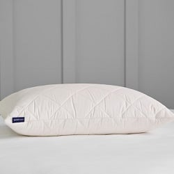 US Size Luxury Alpaca Organic Pillow