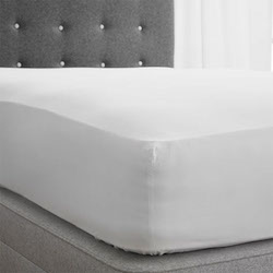 US size Arinta Fitted Sheet - 200tc Organic Cotton