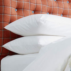 US size Arinta Housewife Pillowcase - 200tc Organic Cotton